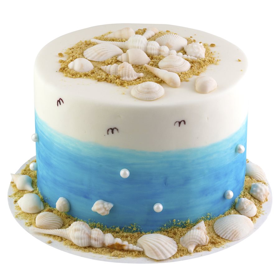 seashell sheet cake