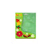 Makin’s Christmas nature fondant push mold for holiday cake decorating