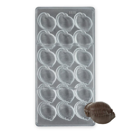18-cavity conch shell polycarbonate chocolate mold for making detailed seashell-shaped chocolates.
