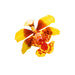 Oncidium Orchid Petal & Leaf Cutter by James Rosselle - NY Cake | Cake Decorating & Baking Supplies