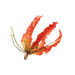 Gloriosa Lily Cutter by James Rosselle - NY Cake | Cake Decorating & Baking Supplies