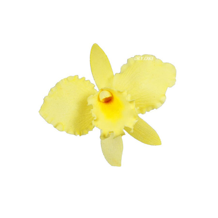 Cattleya Orchid Petal Veiner by James Rosselle - NY Cake | Cake Decorating & Baking Supplies