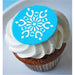 Blue decorated cupcake with white crystal snowflake stencil design