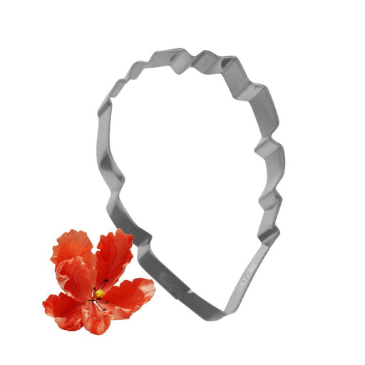 Parrot Tulip Petal Cutter 3 3/8 x 2 1/4 inch by James Rosselle for gum paste and fondant