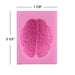 Brain Organ Silicone Mold - NY Cake | Cake Decorating & Baking Supplies