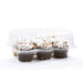 Clear hinged plastic cupcake box with 6 cavities holding six standard decorated cupcakes