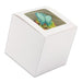 White 3 x 3 x 3 inch cupcake box with clear square window displaying one decorated standard cupcake for bakery packaging