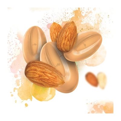 Almond Inspiration 30.5% Cocoa Feves By Valrhona 1 lb - NY Cake | Cake Decorating & Baking Supplies