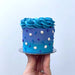 Mini Cake Decorating Kit - NY Cake | Cake Decorating & Baking Supplies