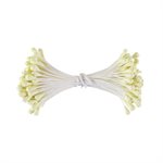 Split Round Large Cream Flower Stamens