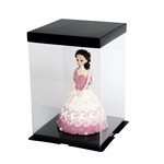 Clear Square Box w / Black Base 10" x 10" x 9.8"