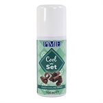 Cool 'n Set Spray 100mL