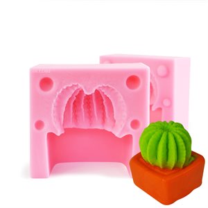 3D Cactus Mold- 2 Pcs Mold.